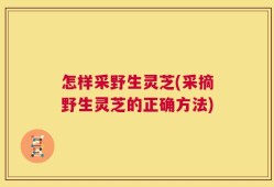 怎样采野生灵芝(采摘野生灵芝的正确方法)