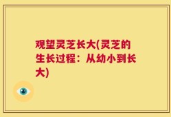 观望灵芝长大(灵芝的生长过程：从幼小到长大)