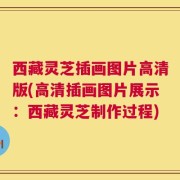 西藏灵芝插画图片高清版(高清插画图片展示：西藏灵芝制作过程)