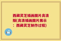 西藏灵芝插画图片高清版(高清插画图片展示：西藏灵芝制作过程)