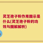灵芝孢子粉作用图示是什么(灵芝孢子粉的功效与图解解析)