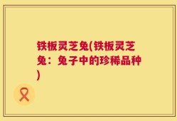 铁板灵芝兔(铁板灵芝兔：兔子中的珍稀品种)