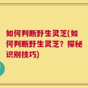 如何判断野生灵芝(如何判断野生灵芝？探秘识别技巧)