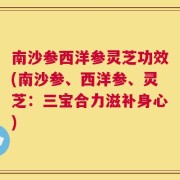 南沙参西洋参灵芝功效(南沙参、西洋参、灵芝：三宝合力滋补身心)