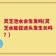 灵芝泡水会生发吗(灵芝水能促进头发生长吗？)