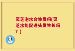 灵芝泡水会生发吗(灵芝水能促进头发生长吗？)