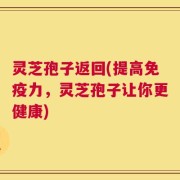 灵芝孢子返回(提高免疫力，灵芝孢子让你更健康)