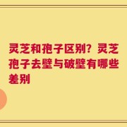 灵芝和孢子区别？灵芝孢子去壁与破壁有哪些差别