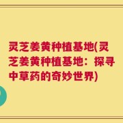 灵芝姜黄种植基地(灵芝姜黄种植基地：探寻中草药的奇妙世界)