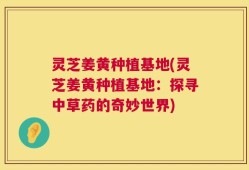 灵芝姜黄种植基地(灵芝姜黄种植基地：探寻中草药的奇妙世界)