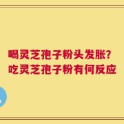 喝灵芝孢子粉头发胀？吃灵芝孢子粉有何反应