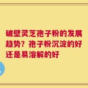 破壁灵芝孢子粉的发展趋势？孢子粉沉淀的好还是易溶解的好