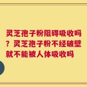 灵芝孢子粉阻碍吸收吗？灵芝孢子粉不经破壁就不能被人体吸收吗