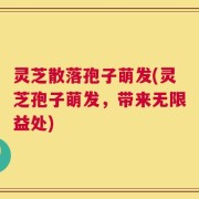 灵芝散落孢子萌发(灵芝孢子萌发，带来无限益处)