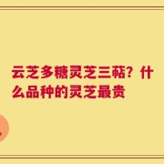 云芝多糖灵芝三萜？什么品种的灵芝最贵