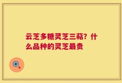 云芝多糖灵芝三萜？什么品种的灵芝最贵
