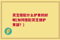 灵芝搭配什么护胃的好呢(如何搭配灵芝保护胃部？)