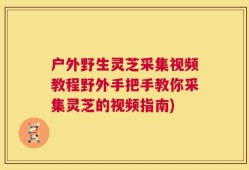 户外野生灵芝采集视频教程野外手把手教你采集灵芝的视频指南)