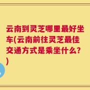 云南到灵芝哪里最好坐车(云南前往灵芝最佳交通方式是乘坐什么？)