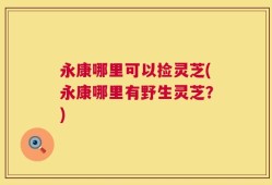 永康哪里可以捡灵芝(永康哪里有野生灵芝？)