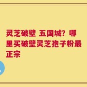 灵芝破壁 五国城？哪里买破壁灵芝孢子粉最正宗