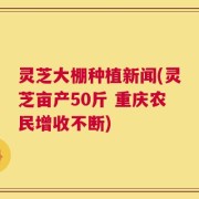 灵芝大棚种植新闻(灵芝亩产50斤 重庆农民增收不断)