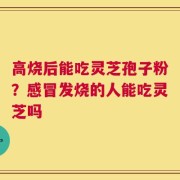 高烧后能吃灵芝孢子粉？感冒发烧的人能吃灵芝吗