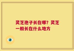 灵芝孢子长在哪？灵芝一般长在什么地方