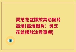 灵芝花盆摆放禁忌图片高清(高清图片：灵芝花盆摆放注意事项)