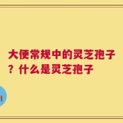 大便常规中的灵芝孢子？什么是灵芝孢子