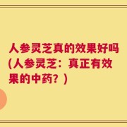 人参灵芝真的效果好吗(人参灵芝：真正有效果的中药？)