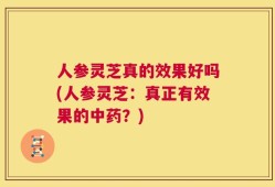 人参灵芝真的效果好吗(人参灵芝：真正有效果的中药？)