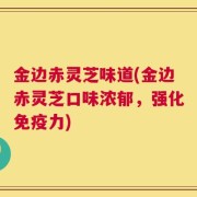 金边赤灵芝味道(金边赤灵芝口味浓郁，强化免疫力)