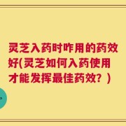 灵芝入药时咋用的药效好(灵芝如何入药使用才能发挥最佳药效？)