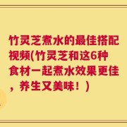 竹灵芝煮水的最佳搭配视频(竹灵芝和这6种食材一起煮水效果更佳，养生又美味！)