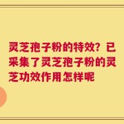 灵芝孢子粉的特效？已采集了灵芝孢子粉的灵芝功效作用怎样呢