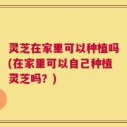 灵芝在家里可以种植吗(在家里可以自己种植灵芝吗？)