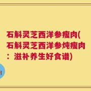 石斛灵芝西洋参瘦肉(石斛灵芝西洋参炖瘦肉：滋补养生好食谱)