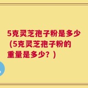 5克灵芝孢子粉是多少 (5克灵芝孢子粉的重量是多少？)