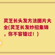 灵芝长头发方法图片大全(灵芝长发妙招集锦，你不容错过！)