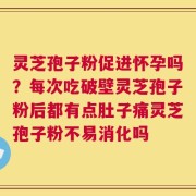 灵芝孢子粉促进怀孕吗？每次吃破壁灵芝孢子粉后都有点肚子痛灵芝孢子粉不易消化吗