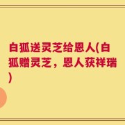 白狐送灵芝给恩人(白狐赠灵芝，恩人获祥瑞)