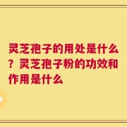 灵芝孢子的用处是什么？灵芝孢子粉的功效和作用是什么