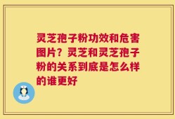 灵芝孢子粉功效和危害图片？灵芝和灵芝孢子粉的关系到底是怎么样的谁更好