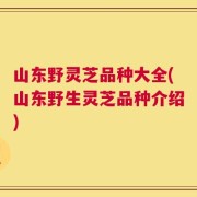 山东野灵芝品种大全(山东野生灵芝品种介绍)