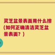 灵芝盆景表面用什么擦(如何正确清洁灵芝盆景表面？)