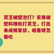 灵芝破壁泡打？家用破壁料理机打灵芝，打出来成棉絮状，嚼着硬怎吞吃
