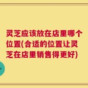 灵芝应该放在店里哪个位置(合适的位置让灵芝在店里销售得更好)