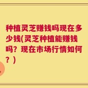种植灵芝赚钱吗现在多少钱(灵芝种植能赚钱吗？现在市场行情如何？)