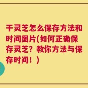 干灵芝怎么保存方法和时间图片(如何正确保存灵芝？教你方法与保存时间！)